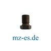 Schaltarretierschraube neue Form, MZ ES 175-250/0-2